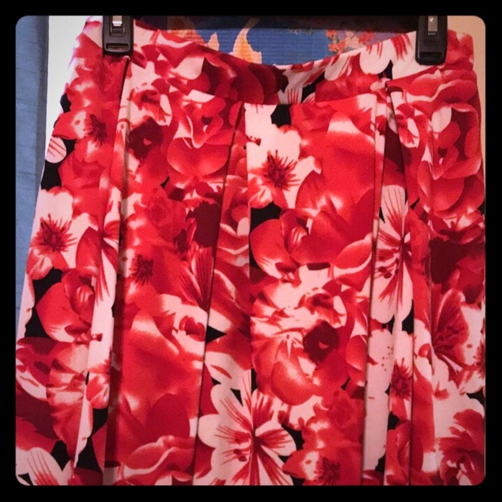 BNWOT LLR Madison skirt! Gorgeous ! 🌹🌺🌸🥀